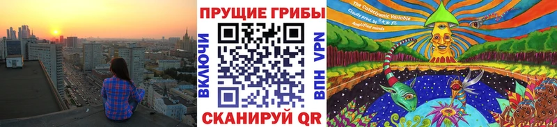 Псилоцибиновые грибы ЛСД  Новохопёрск 