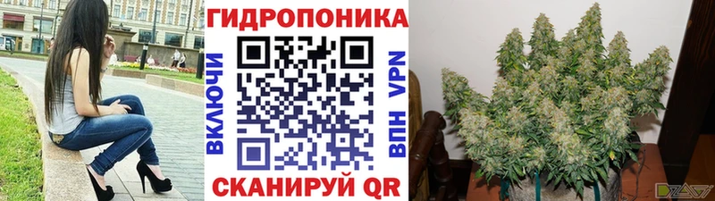 Шишки марихуана план  Новохопёрск 